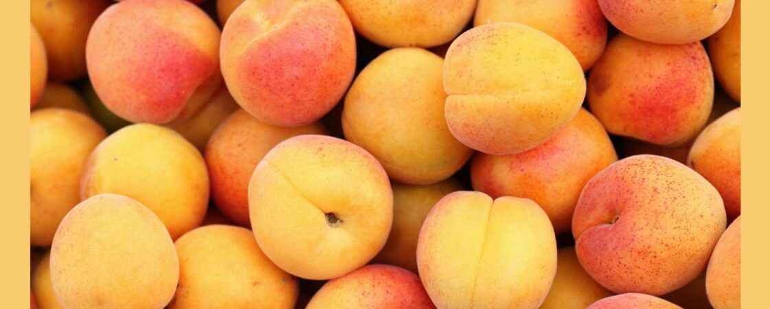 Apricots: Sweet and Nutritious Health Benefits