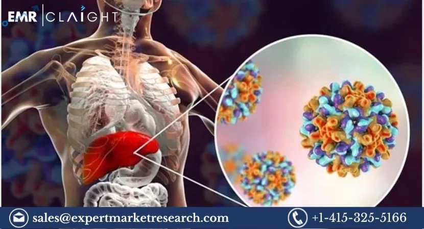 Hepatitis B Infection Treatment Market