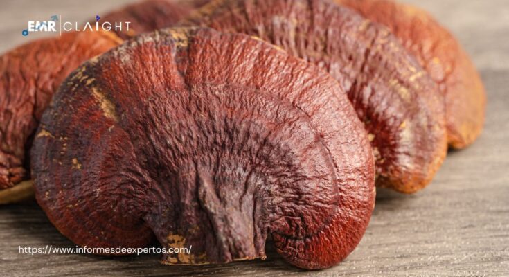 Latin America Reishi Mushroom Extract Market
