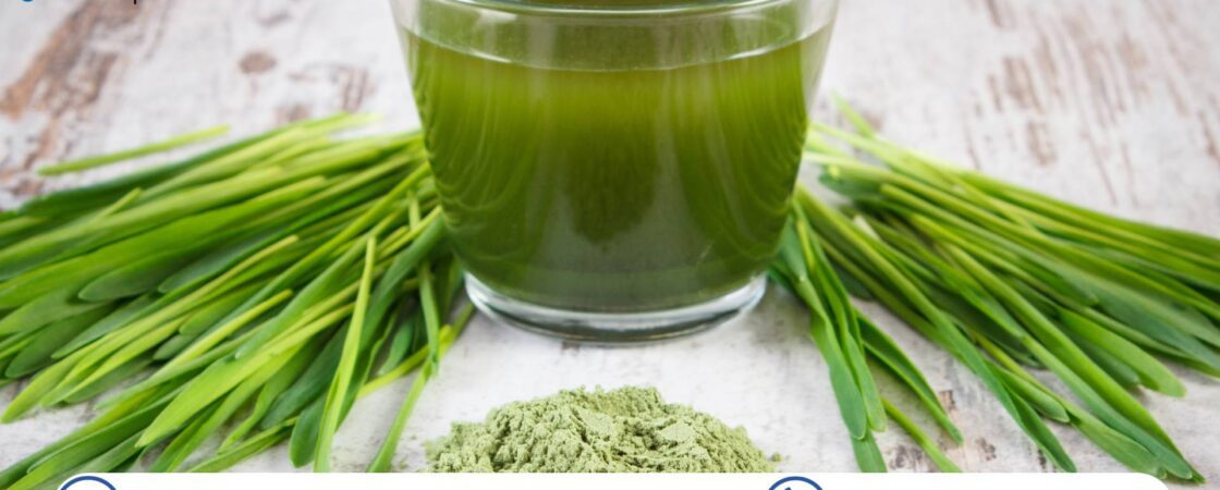 Organic Wheatgrass Products Market Size