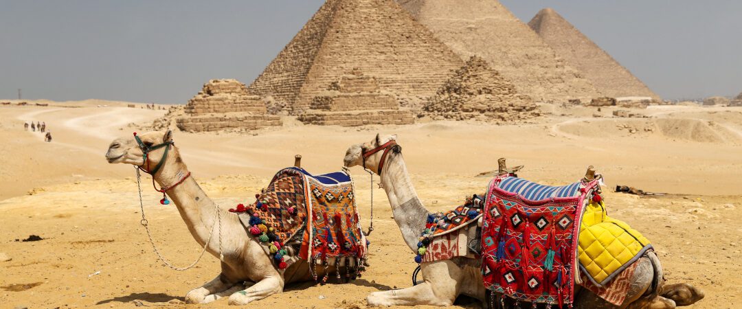 Trip to Egypt