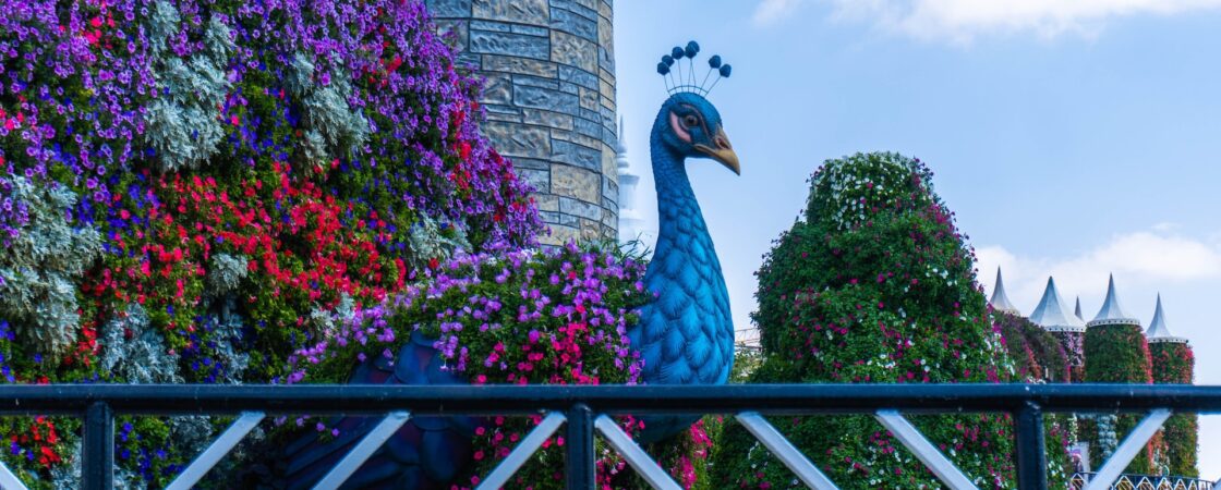 Must-See Exhibits at Dubai Miracle Garden