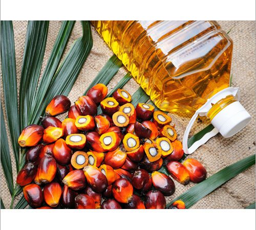 palm oil