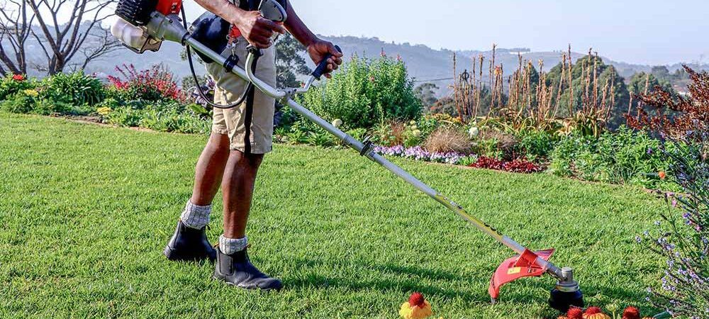 Petrol Brush Cutter