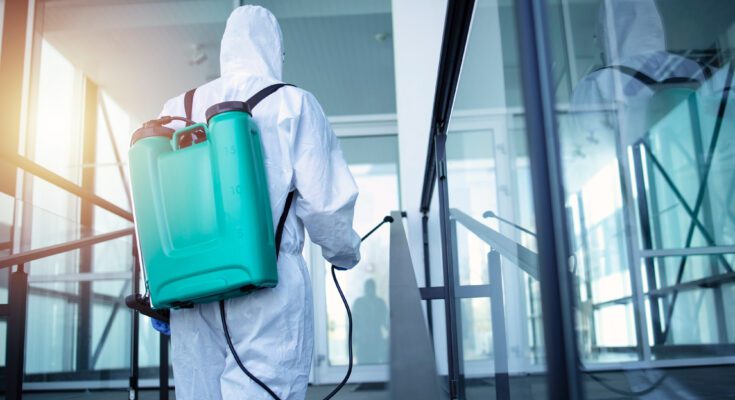 best pest control companies in NY