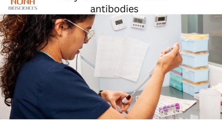 fully human monoclonal antibodies