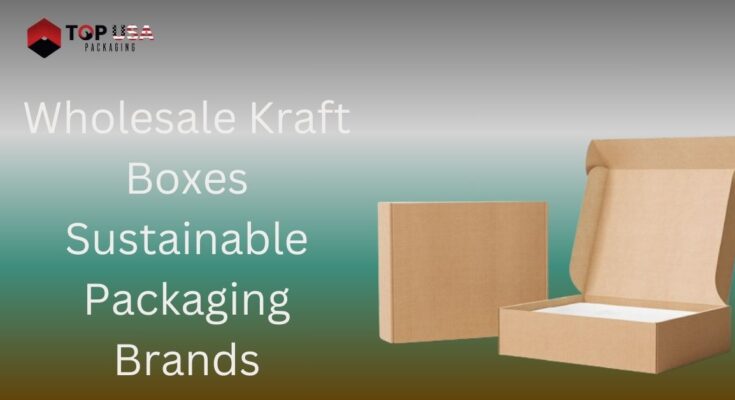 Wholesale Kraft Boxes Sustainable Packaging Brands