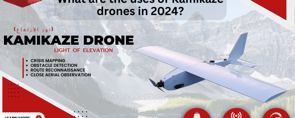 drones, cargo delivery, border security drone