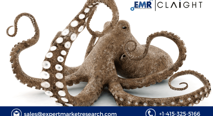 Octopus Market Size Growth