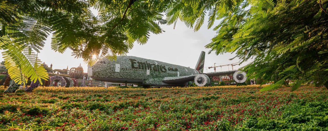 Dubai Miracle Garden