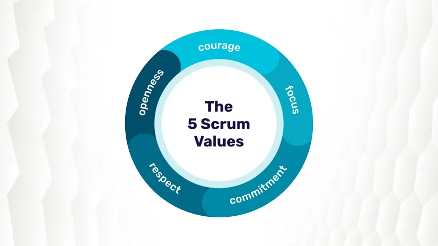 Understanding the 5 Values of Scrum